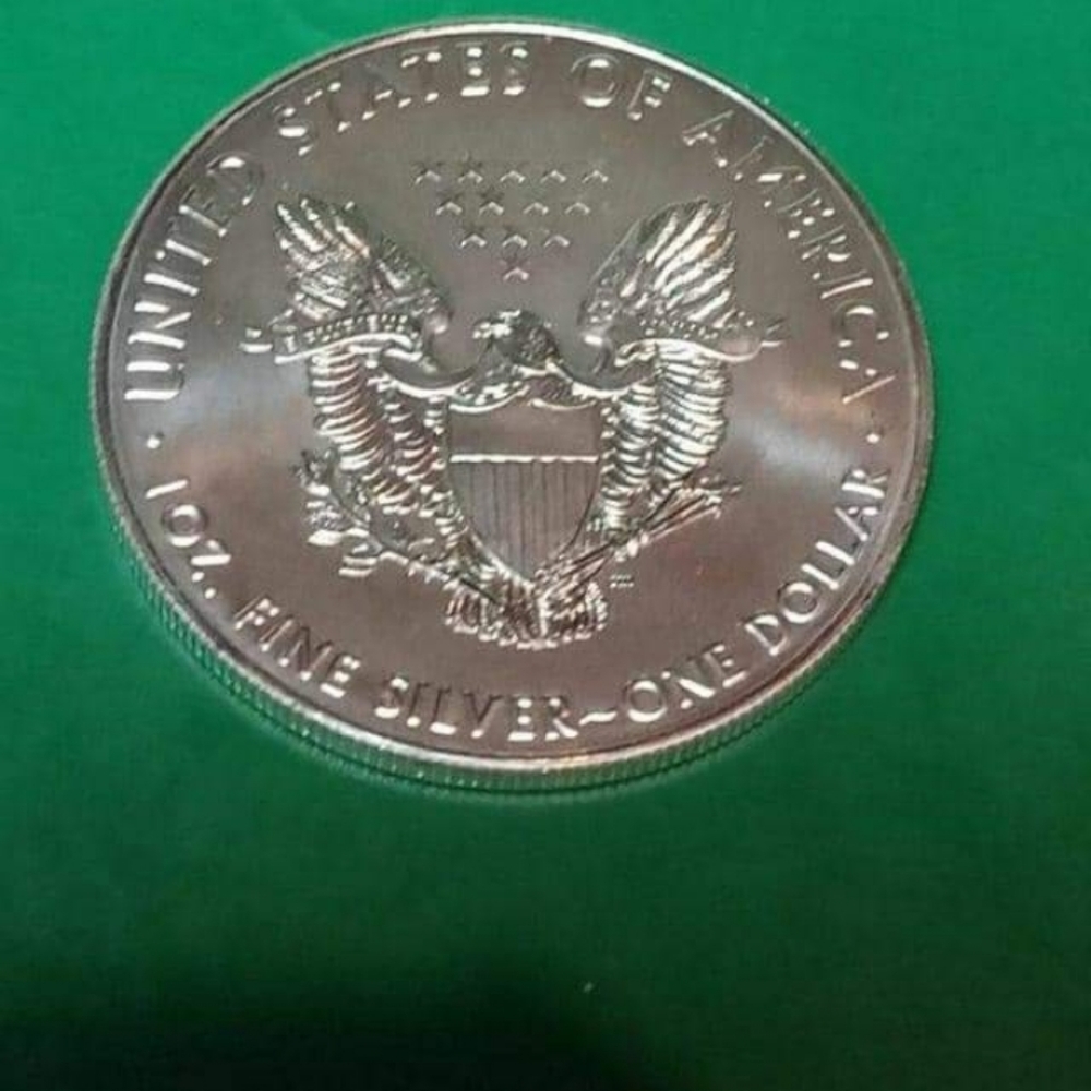Silver dollar